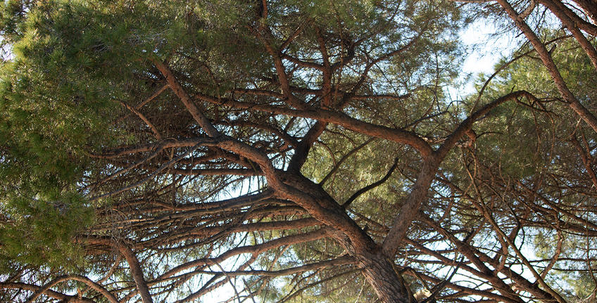 Parco giochi per bambini, Fasana - Bale Valle