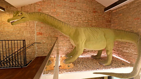 Ulika Gallery Ulika Gallery