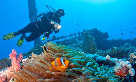 Diving Diving