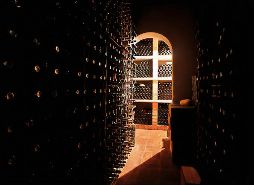 Aziende vinicole in Istria